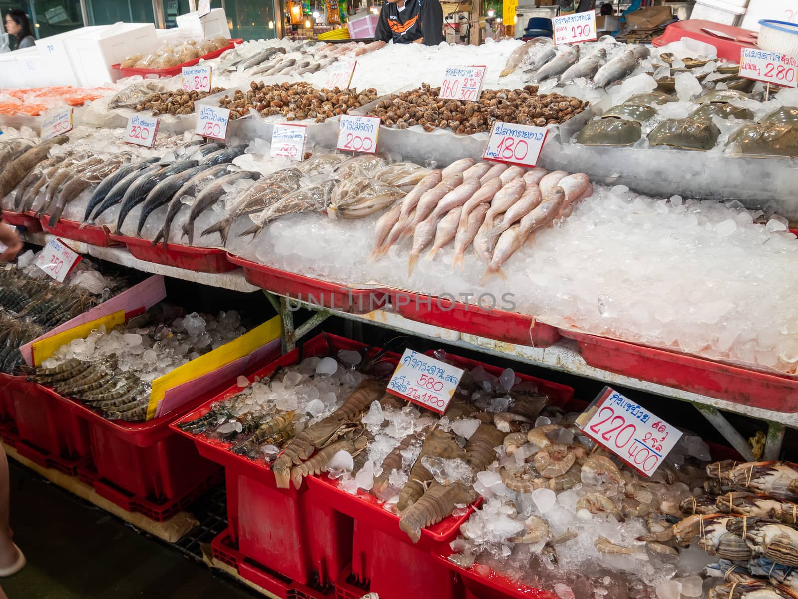 Fresh cockles in the Thai seafood market. by Amankris