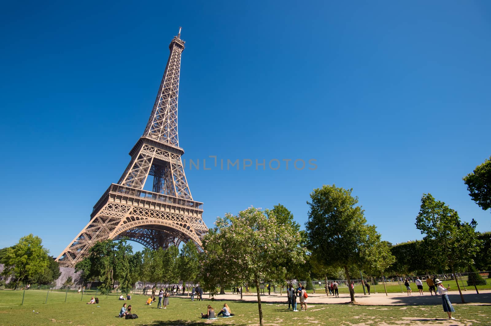 Eiffel Tower from the Champ de Mars gardens in summer. by mbruxelle