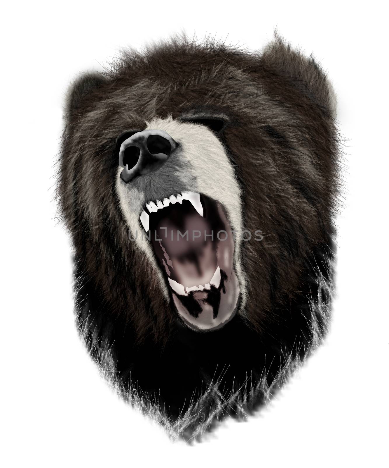 Illustration. Head of roaring grizzly bear isolated on white background. Totem animal.