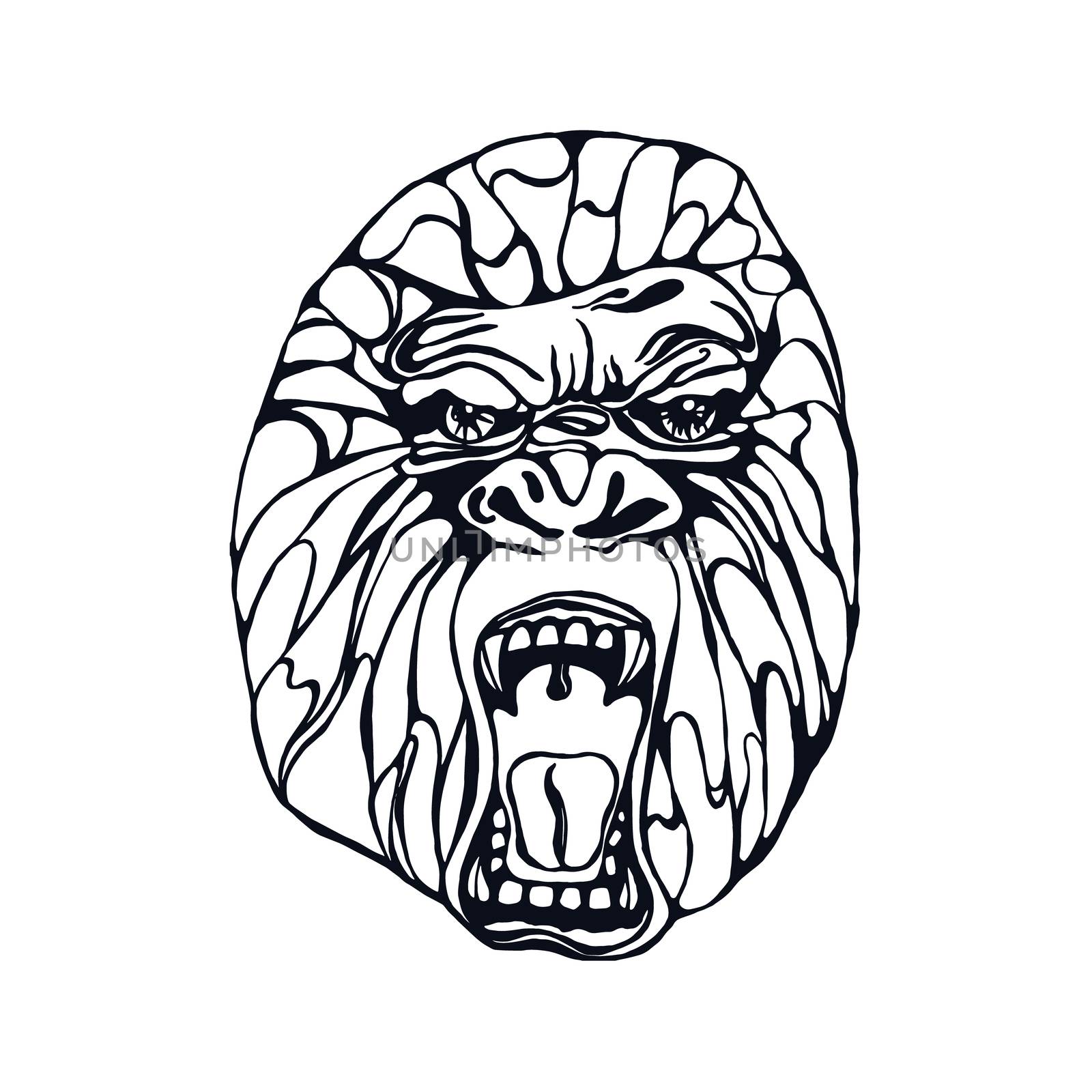 Growling detailed gorilla in tattoo style. Design for t-shirt, poster, bag. Vector