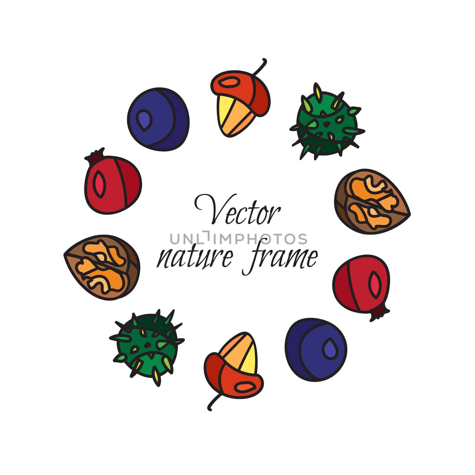 Vintage fruits frame from hazelnut and chestnut, briar and nuts. Vector