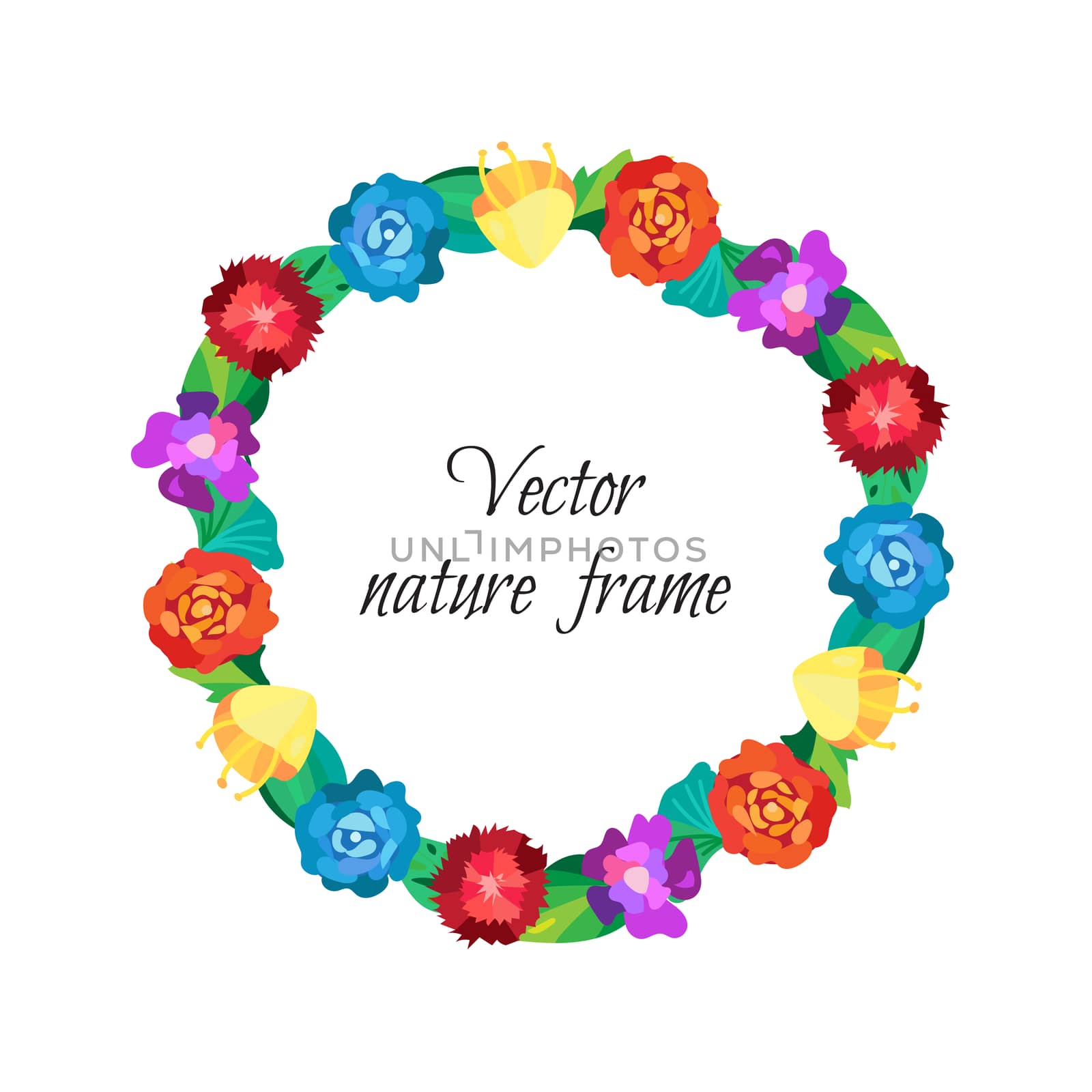 Floral wreath from beautiful colorful flowers isolated on white background and wedding frame. Vector