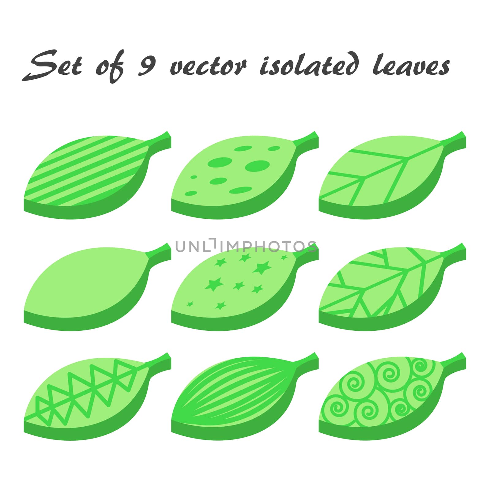 Vector set of 9 green leaves, ecology symbols