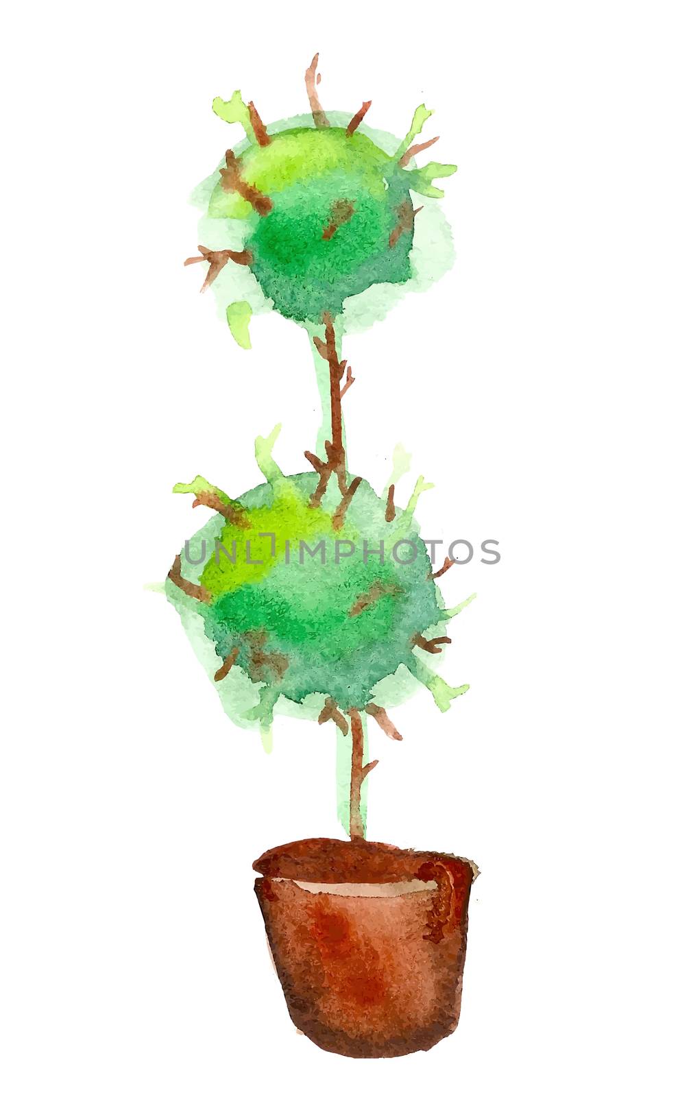 Vector aquarelle tree in pot, nature symbol