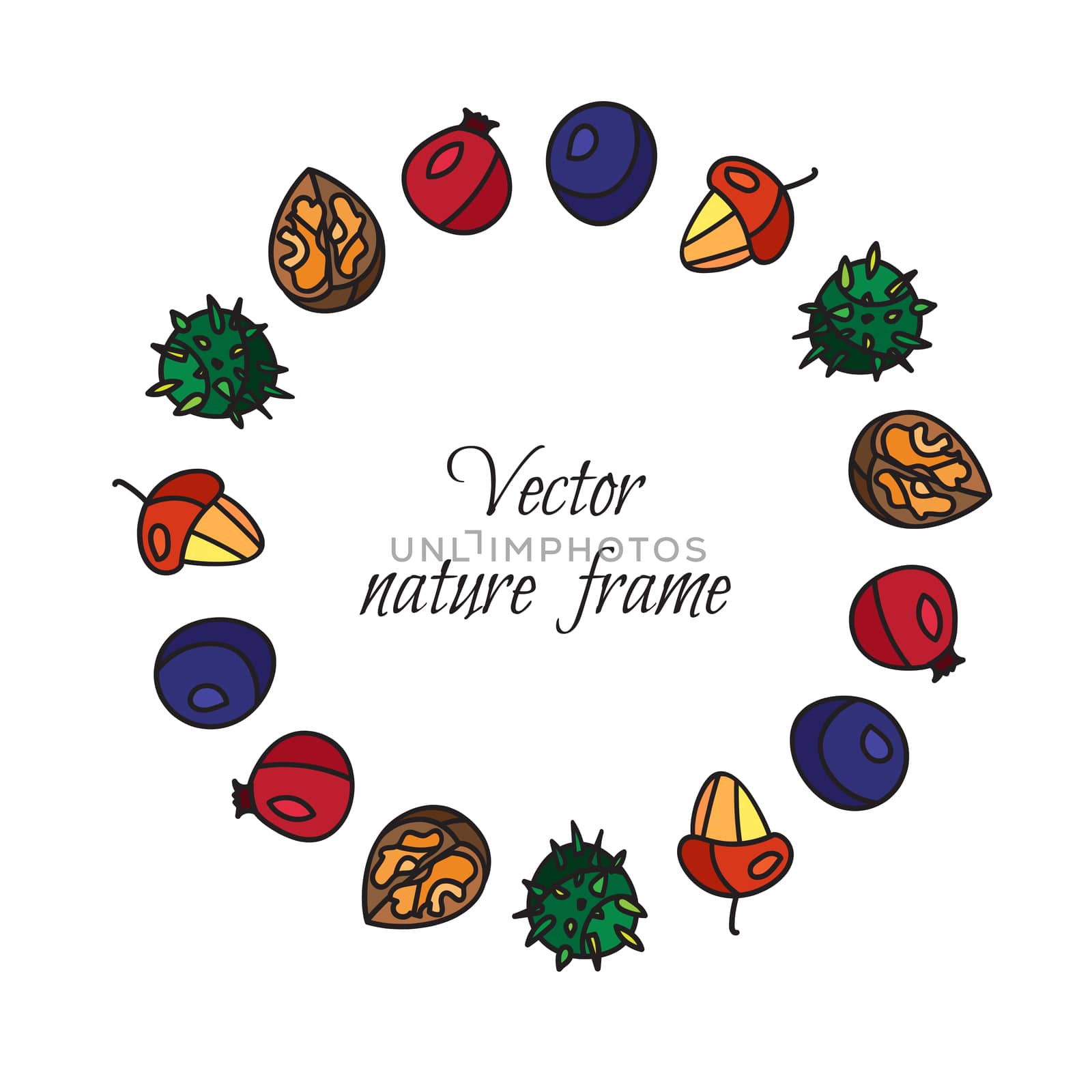 Vintage fruits frame from hazelnut and chestnut, briar and nuts. Vector