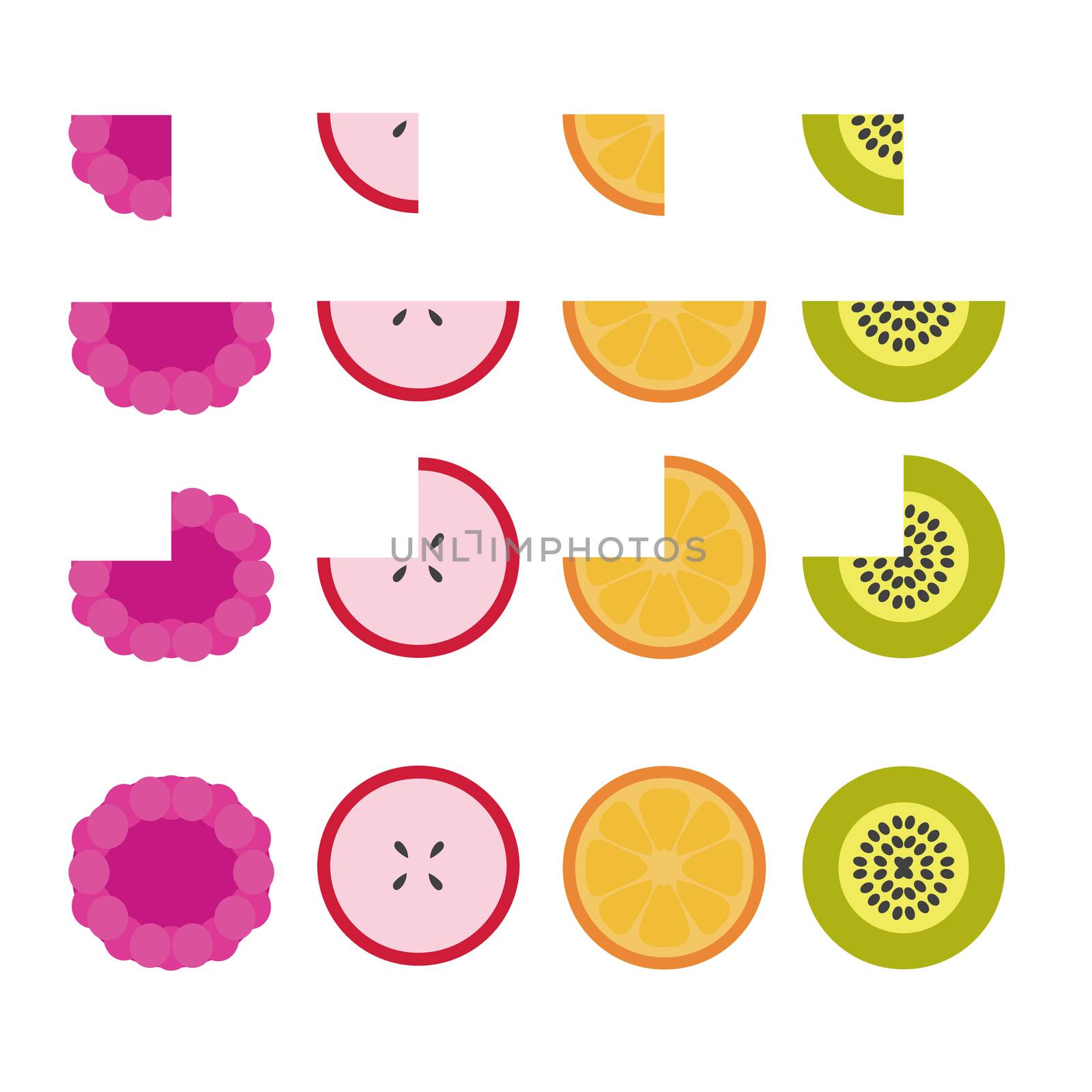 Vector fruit illustration from apple, berry, orange and kiwi and parts