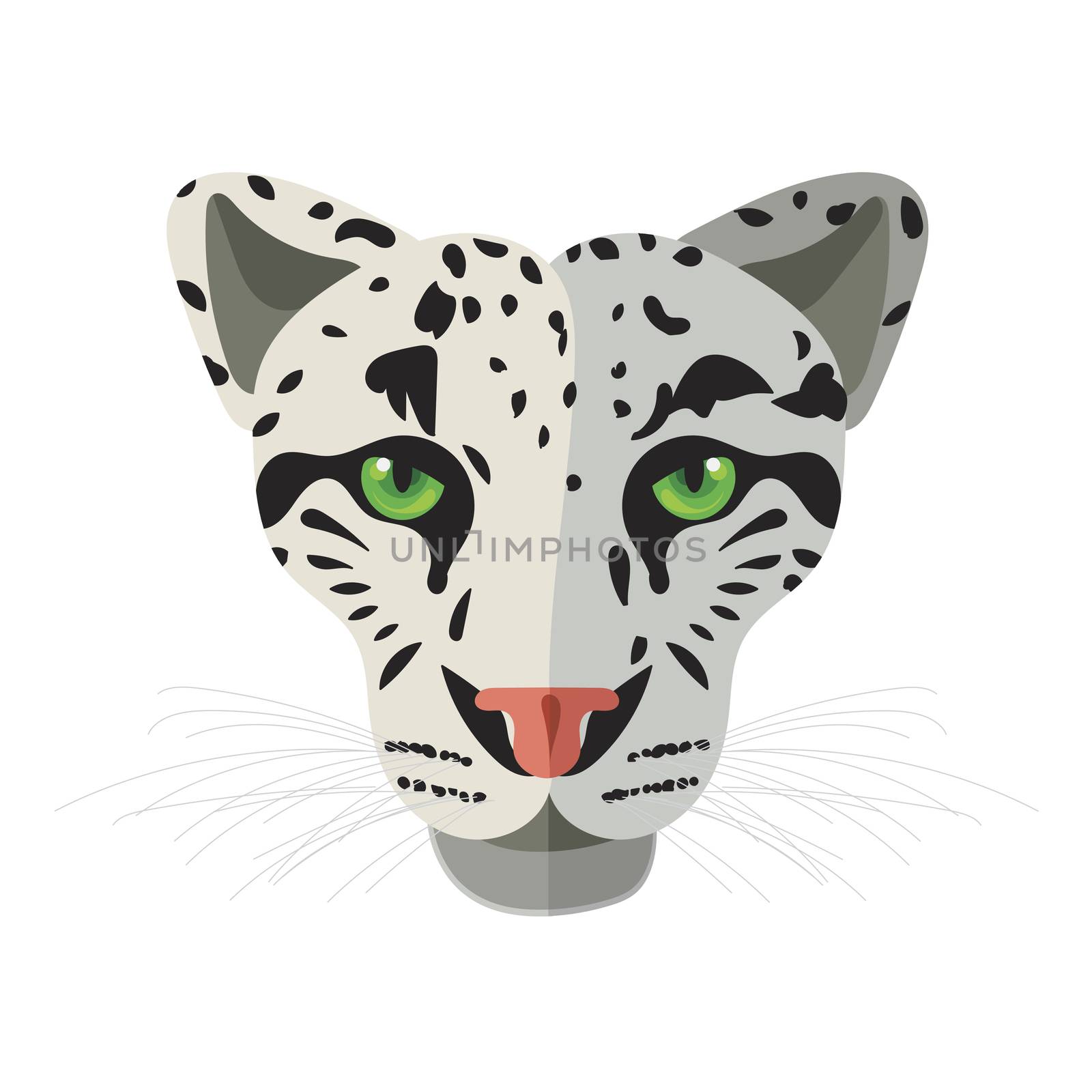 Wild cat face, snow bars head. Vector
