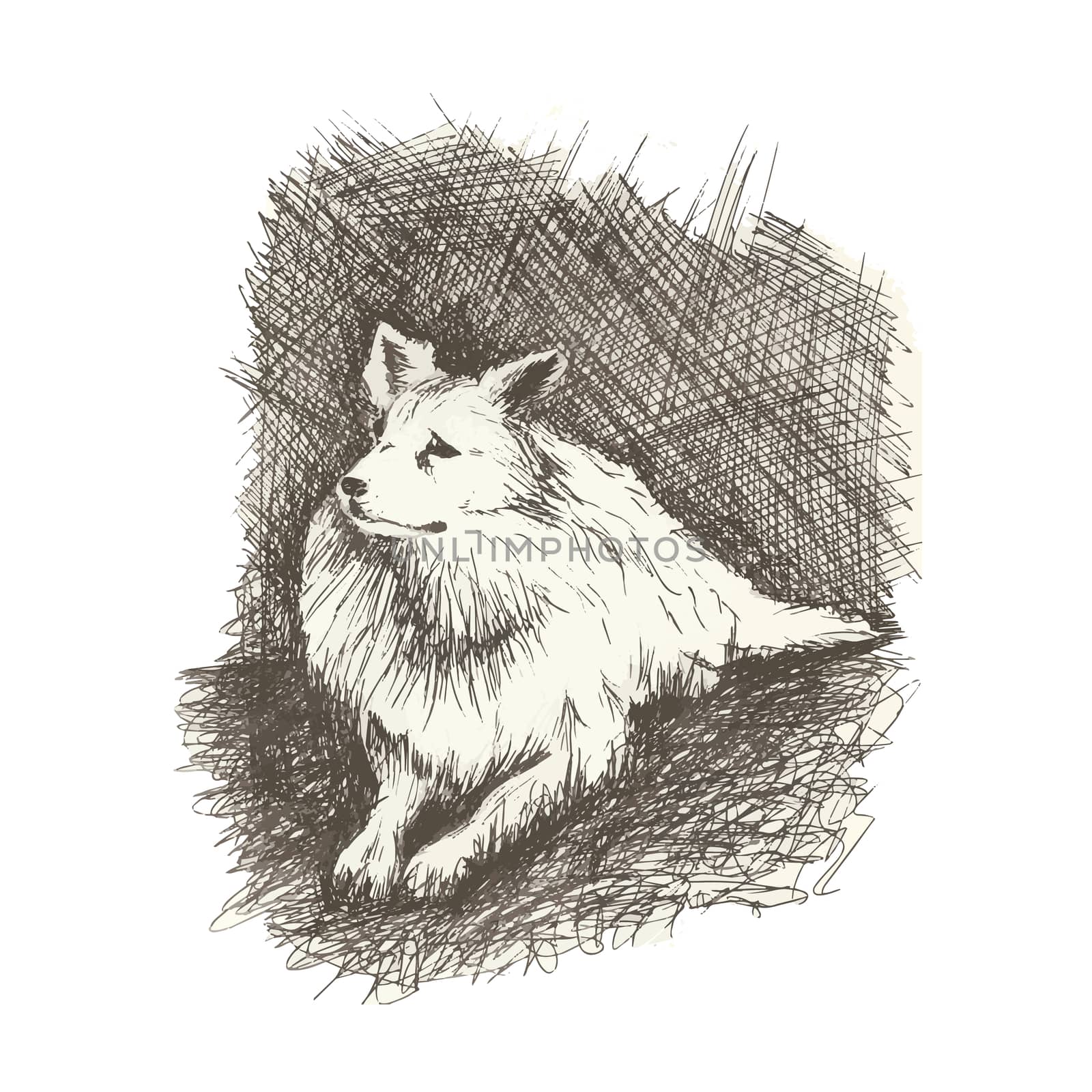 Vector dog in anddrawn engraving style by pen, retro hound