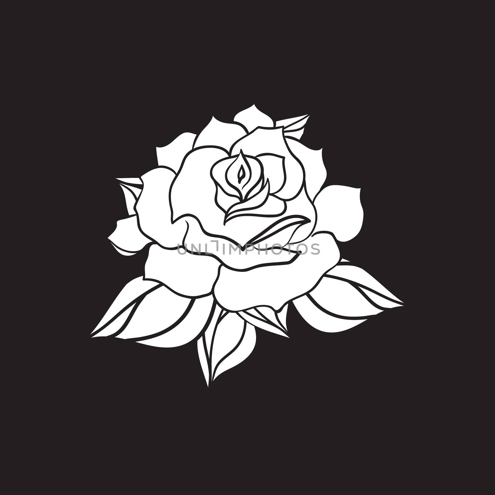 Hand Drawn Wedding Rose. Flower Template for wedding, holiday, celebration. Rose for print, tattoo and digital art. Vector