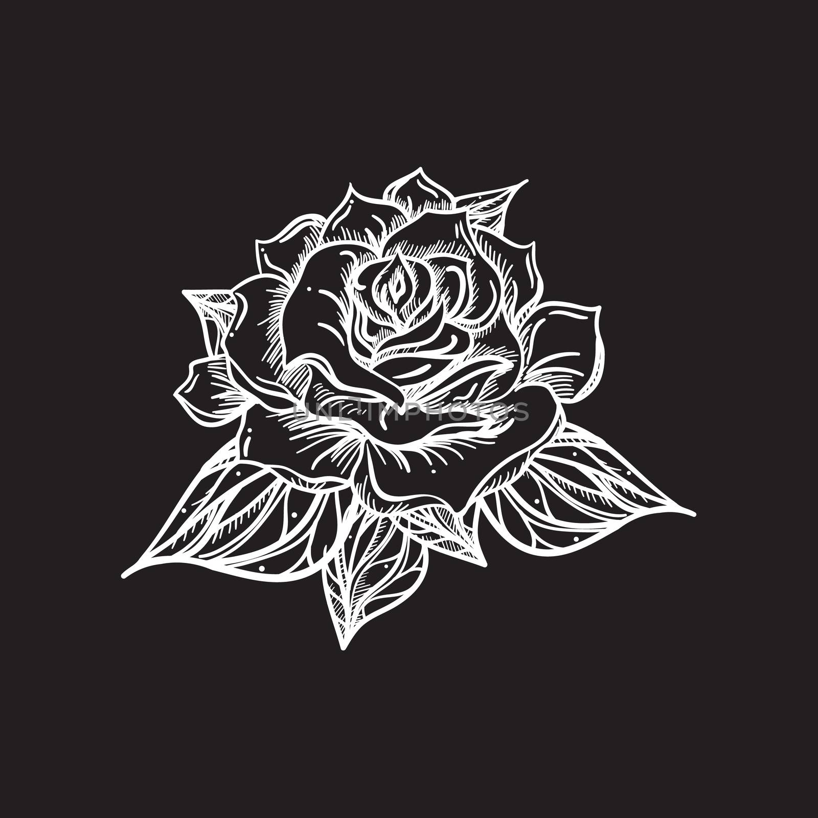 Hand Drawn Wedding Rose. Flower Template for wedding, holiday, celebration. Rose for print, tattoo and digital art. Vector