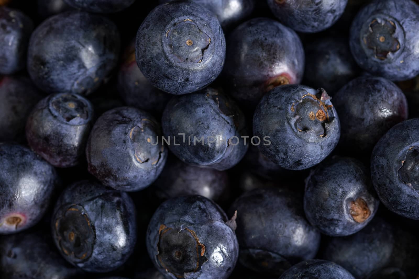 A pile of blueberries. A filled frame. Close up.