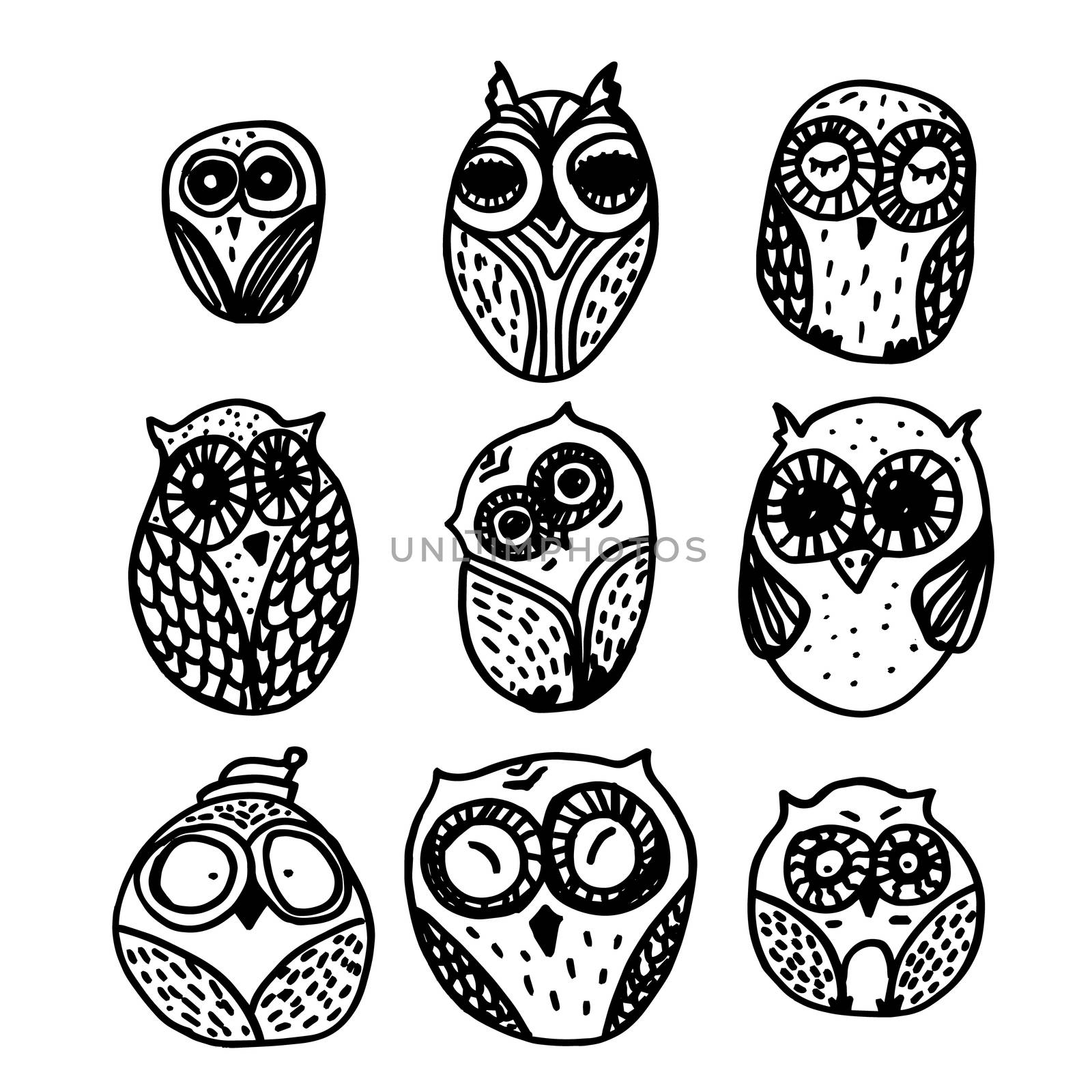 Hand Drawn Funny Owl. Owls set for print, fabric, wrap and illustration. Vector