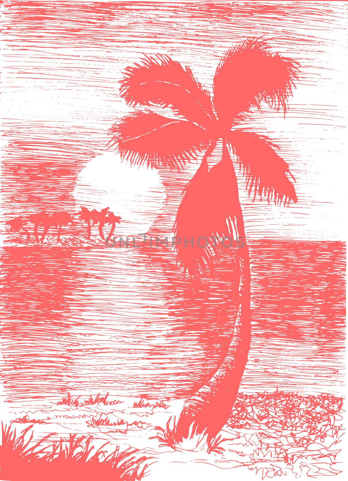 Vector tropical summer illustration with palm tree and islands