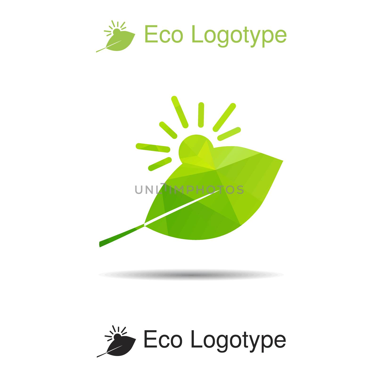Ecology logotype, icon and nature symbol: sun and leaf