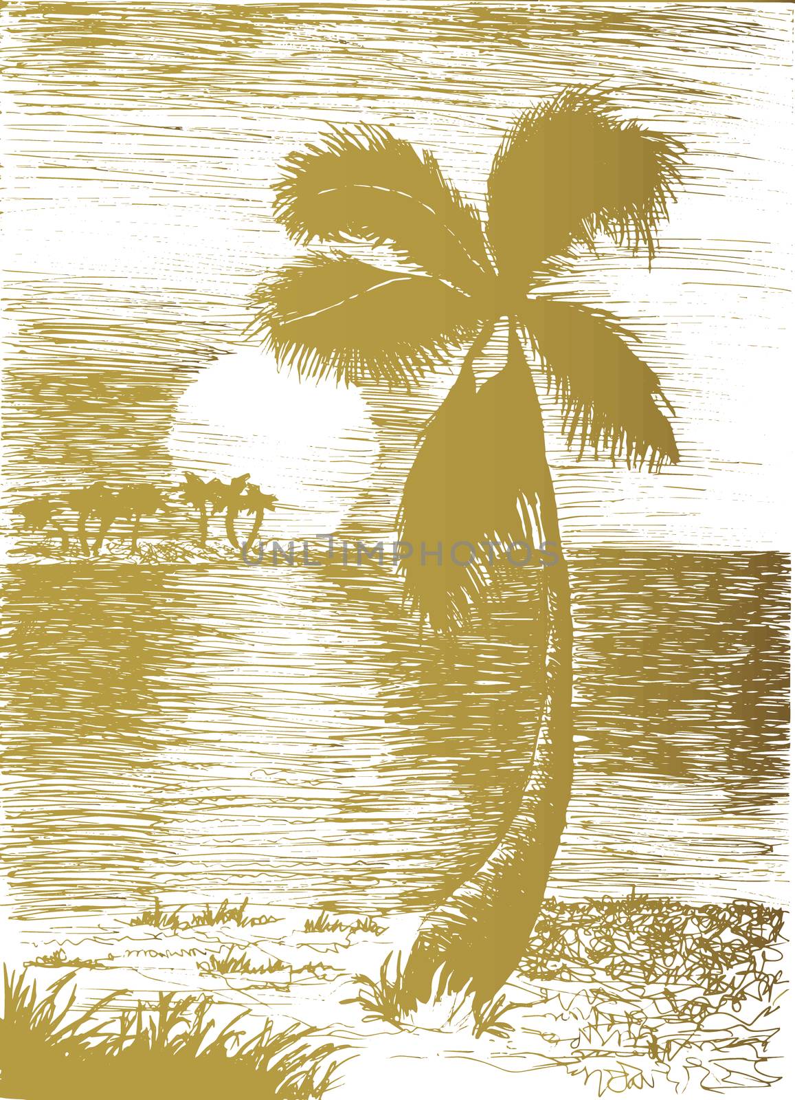Vector tropical summer illustration with palm tree and islands