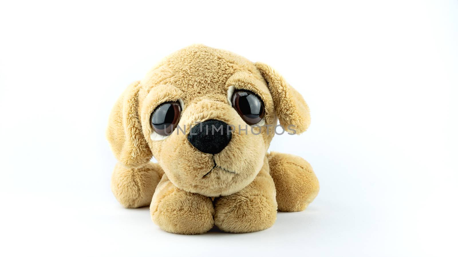 Plush toy - sad puppy isolated on white background.