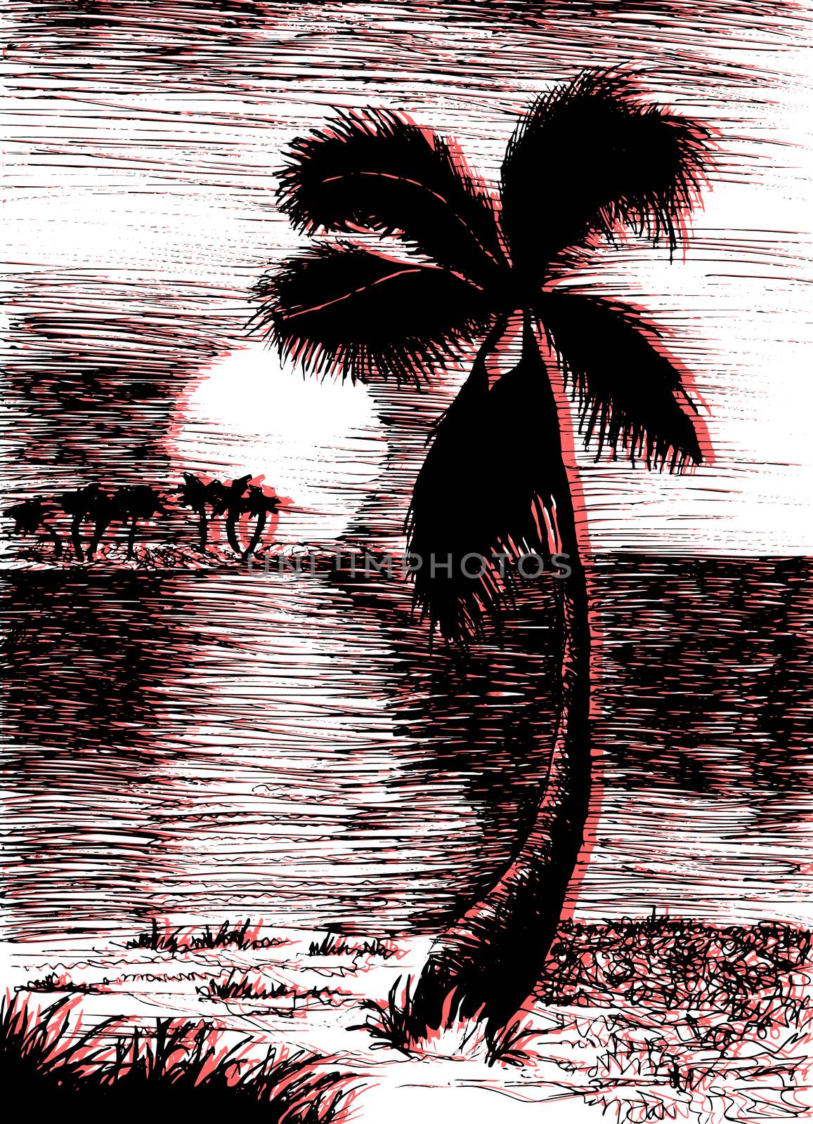 Vector tropical summer illustration with palm tree and islands