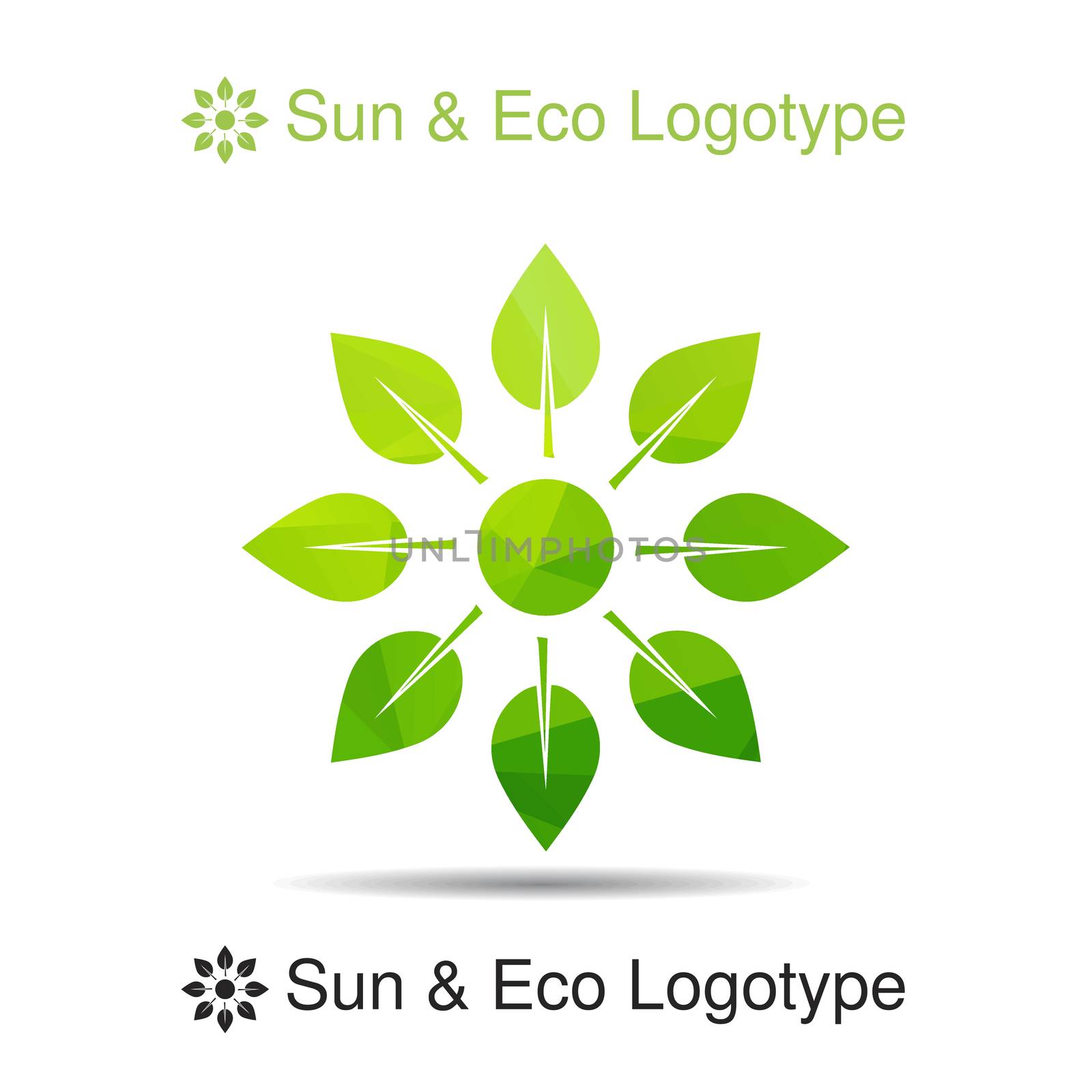 Ecology logotype, icon and nature symbol: sun from leafes
