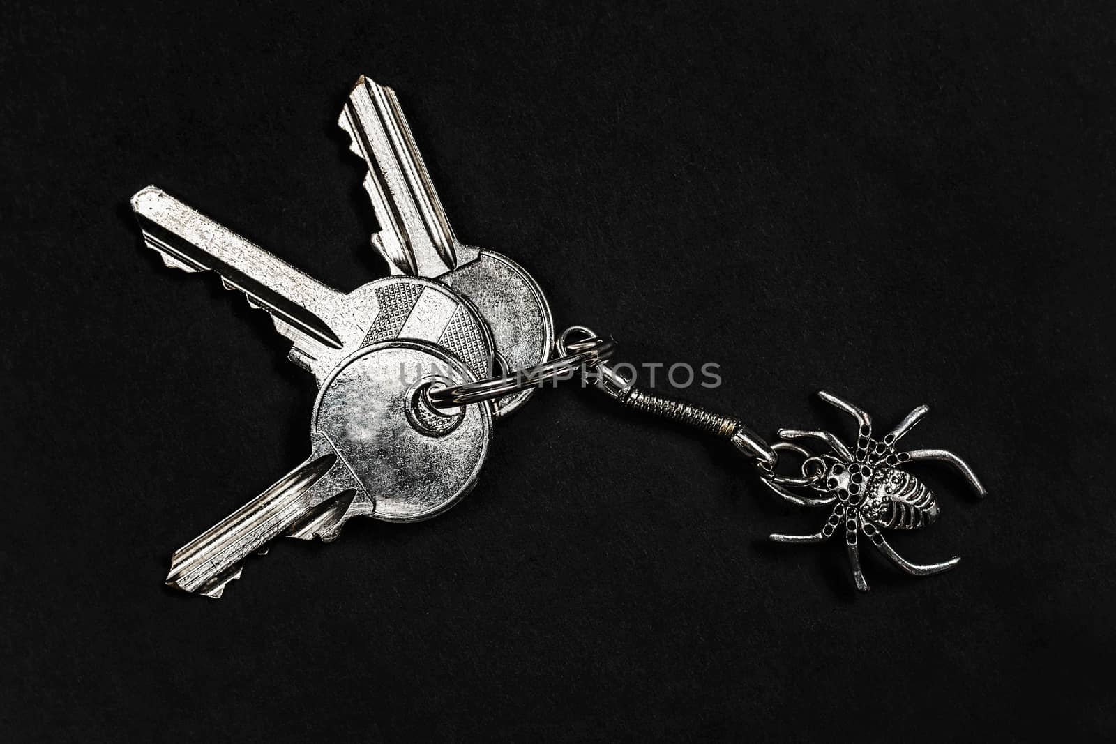 A three keys with a spider-shaped pendant on a black background.