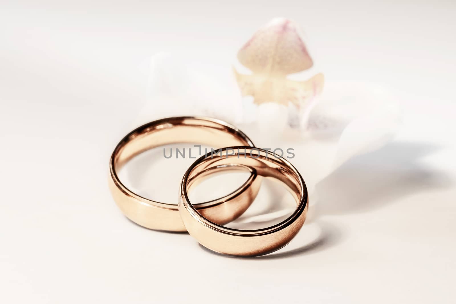 Engagement concept. Two wedding rings with white orchid on white background.