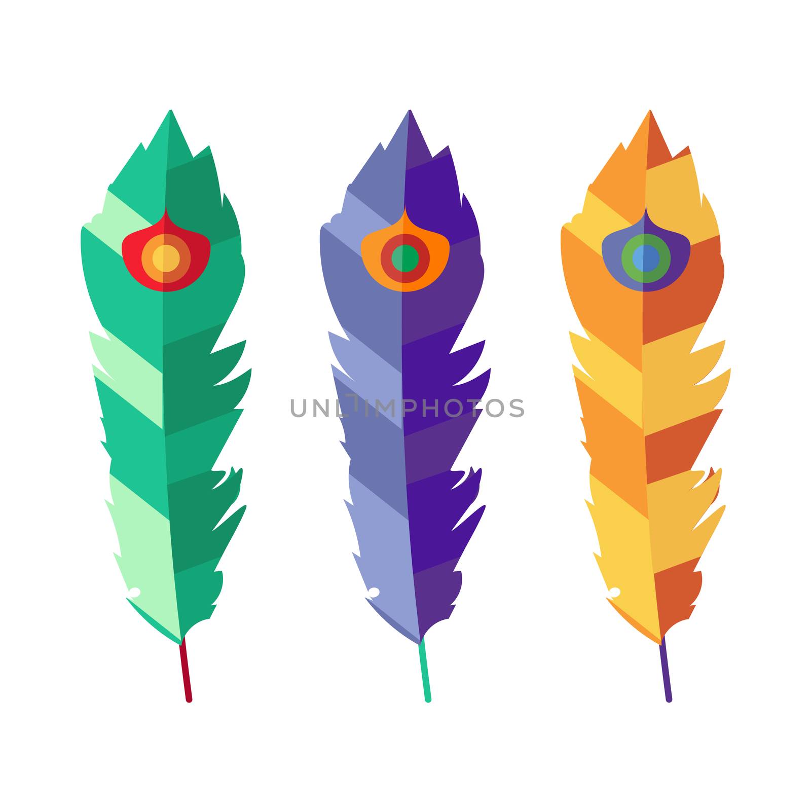 Set of three flat colorful feathers by barsrsind
