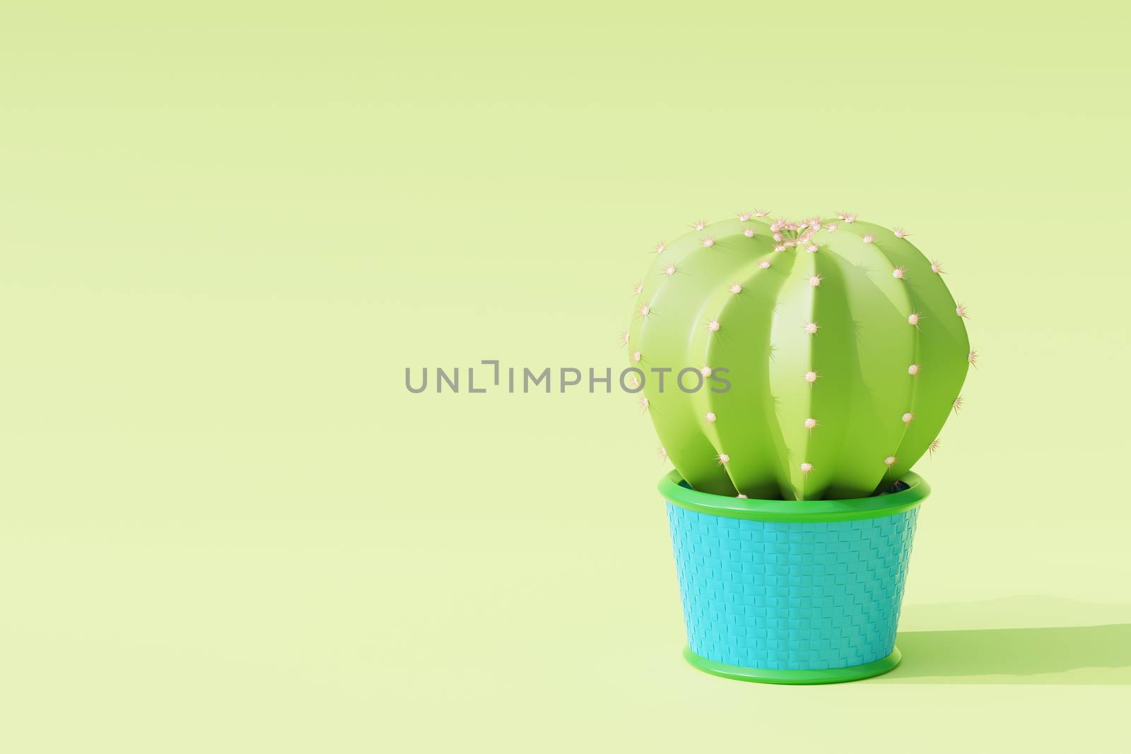 Cactus in cartoon minimal style with light green background. It is a plant that lives in the western desert. Concept of lover cactus. Copy space for your article on the left. 3D illustration rendering