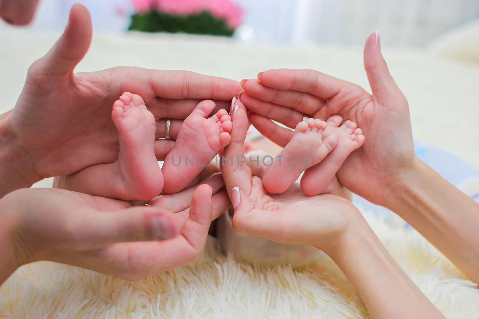 Hands of mom and dad hold the little legs of newborn twins children
