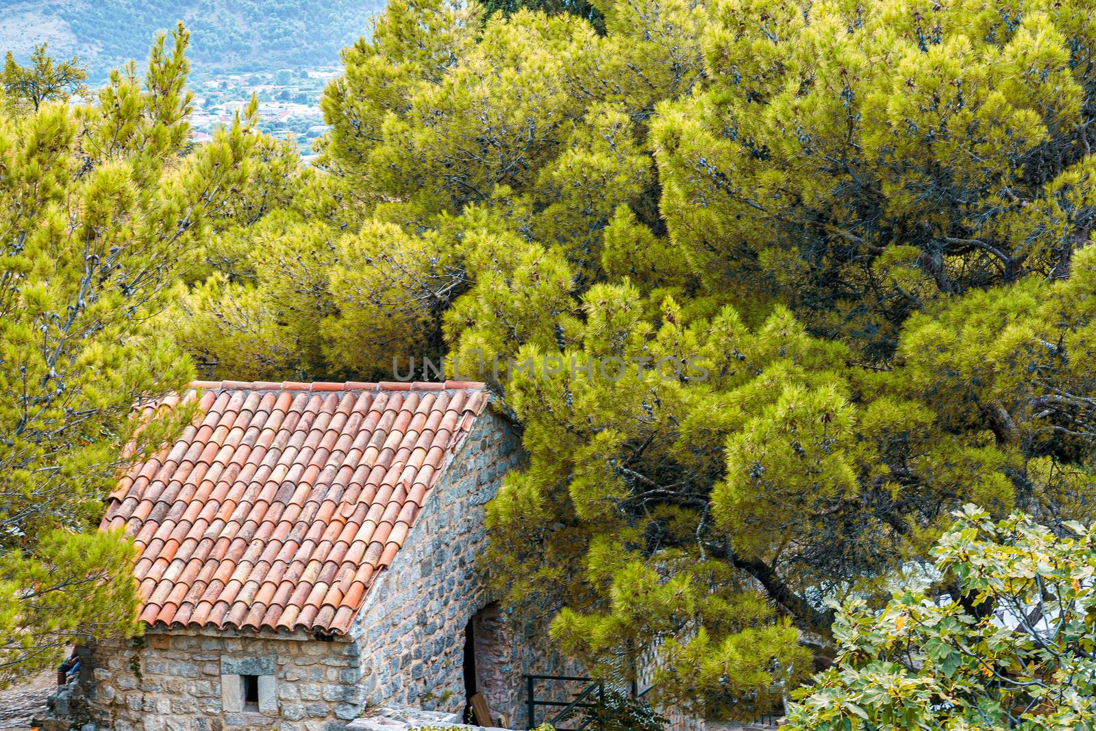 The roof of the building, covered with red tiles, among the greenery. by VADIM