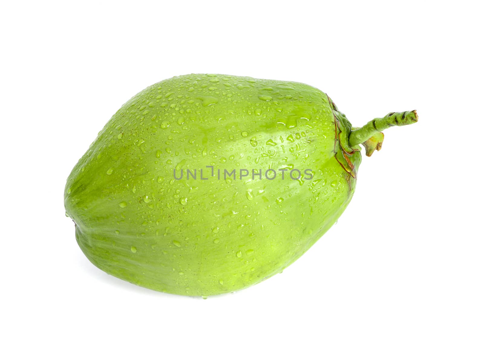 water drop green coconut an isolated on white background by ungpaoman