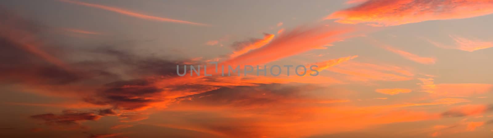 Panorama sky during sunset in the twighligth sky by stoonn