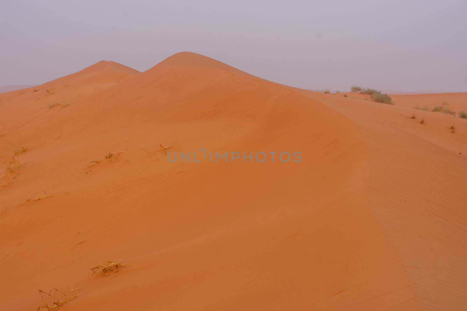 Desert at sunrise brings out bold burnt orange colored sand maki by kingmaphotos