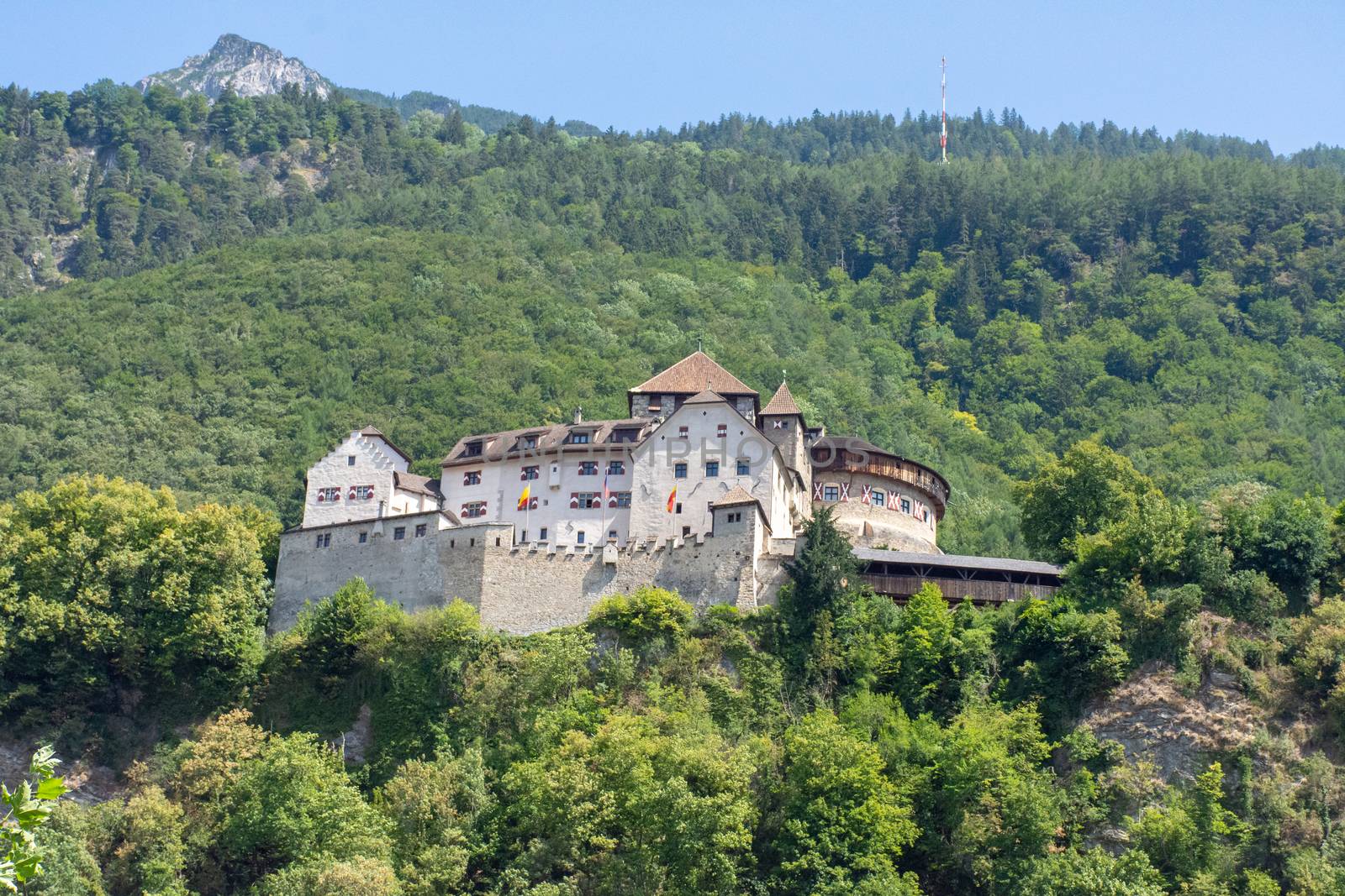 Vaduz Castle in Liectenstein  on a hill with mountains and grass in background.