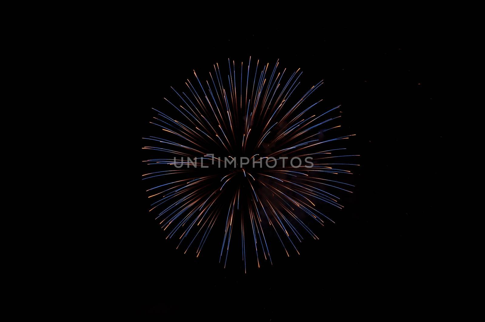 Fireworks explode in the night sky