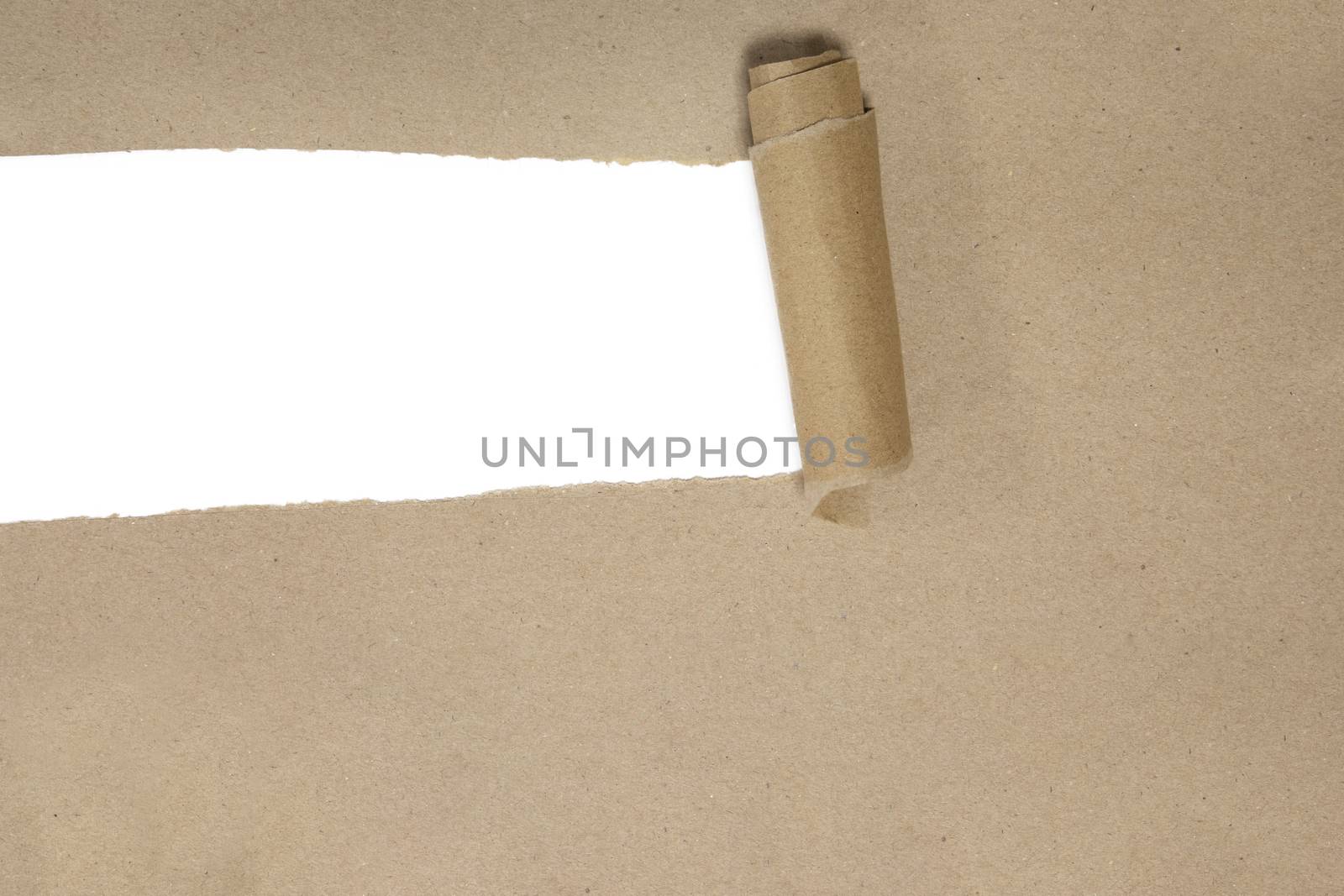 torn brown package rolled up curvl paper with blank white copyspace