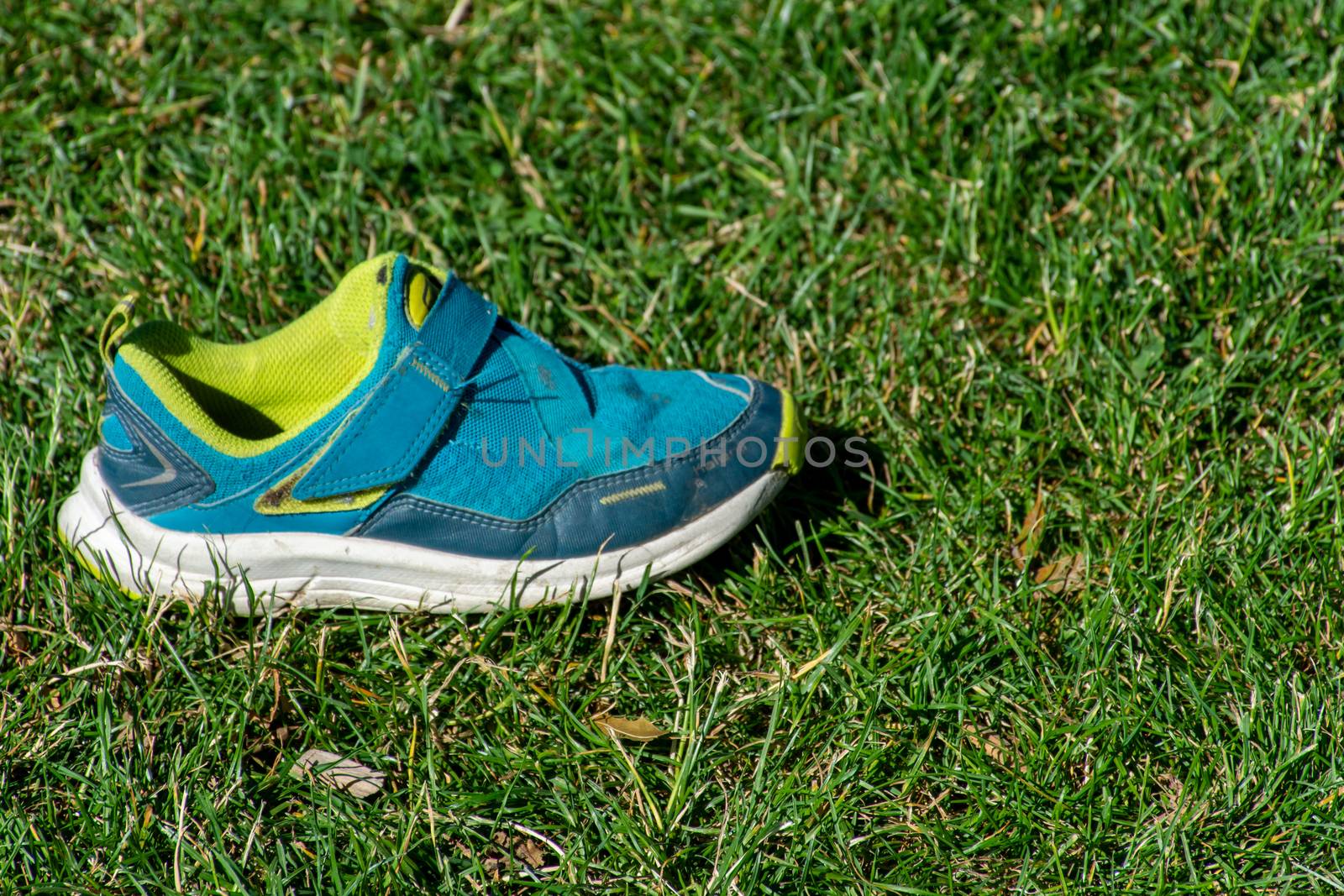 Child's blue and green shoe sits in the sunshine on the green grass prepared for activity and sports in the summer.