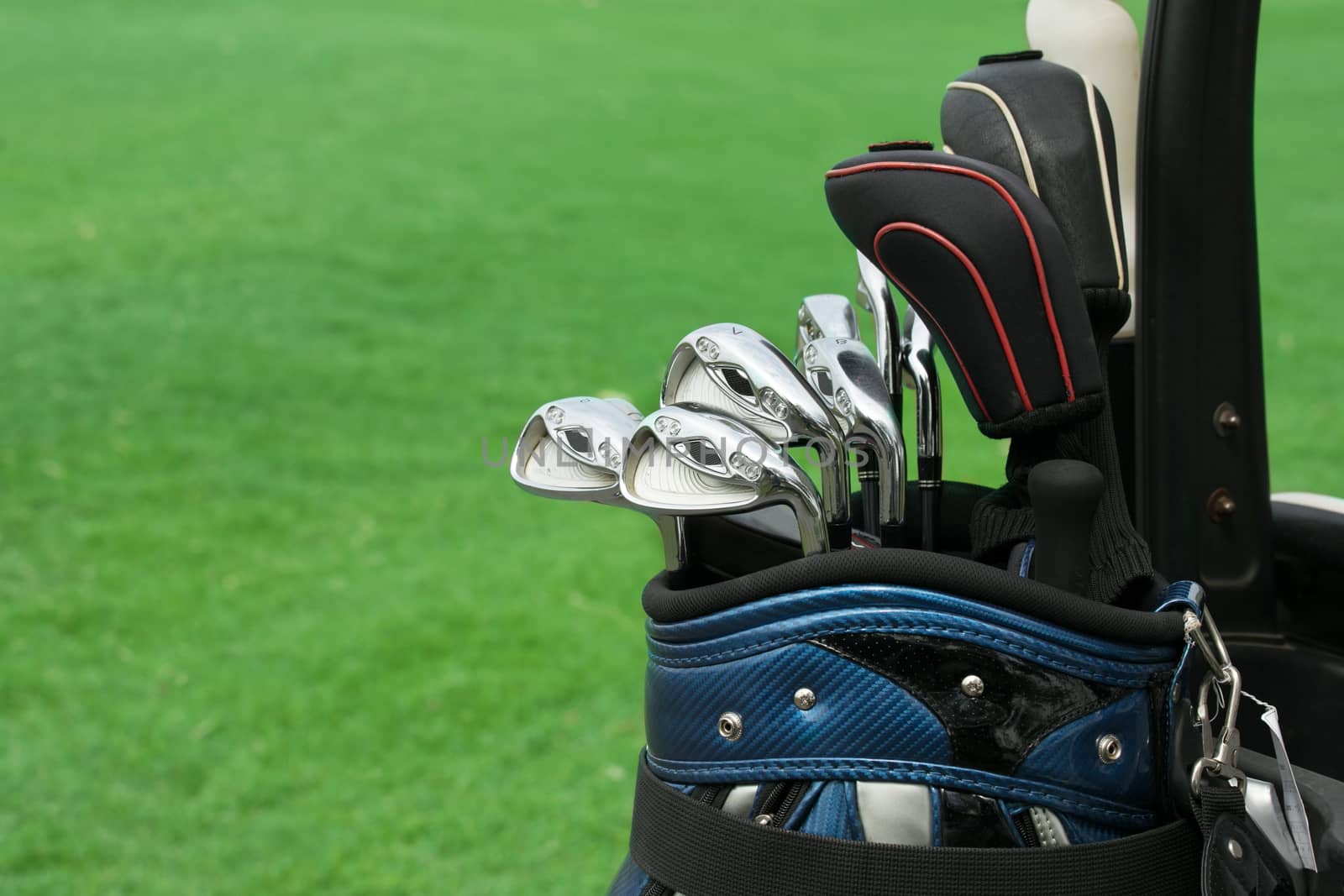 golf club in bag against green grass background