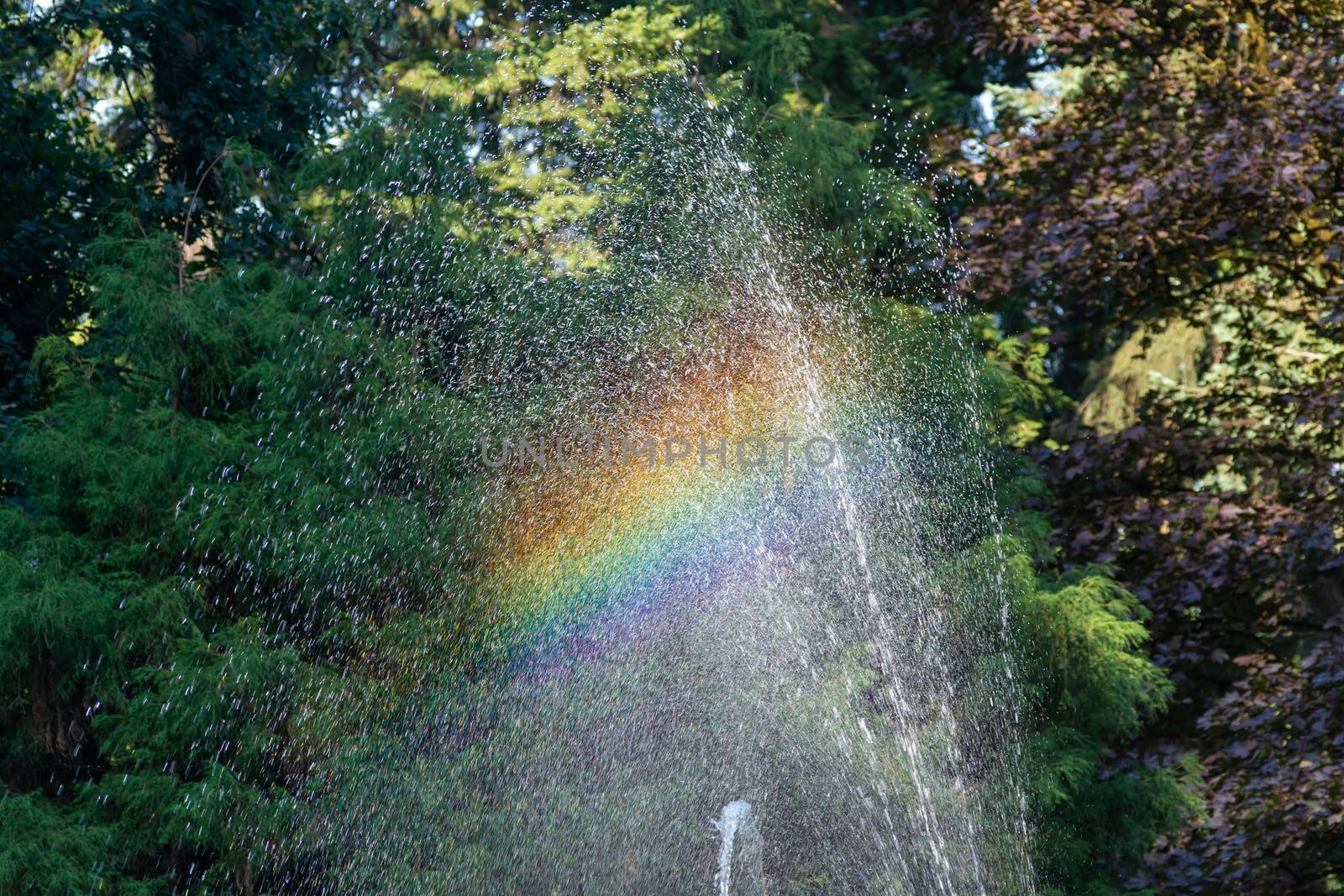A rainbow in a fountain in a water park in the forest of Canada. Conceptual.