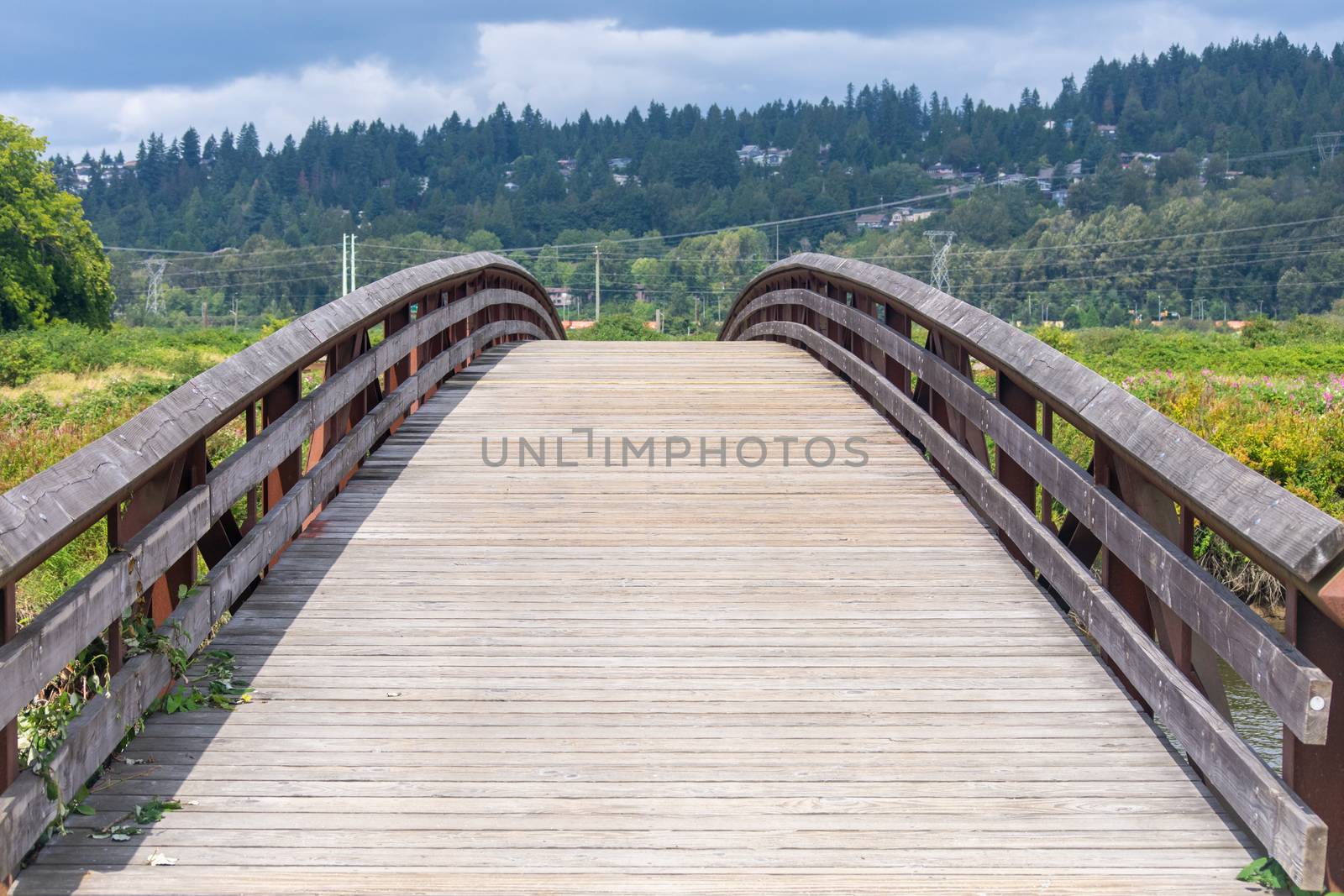 Foot bridge for pedestrians at Colony Farms, Coquitlam, British  by kingmaphotos