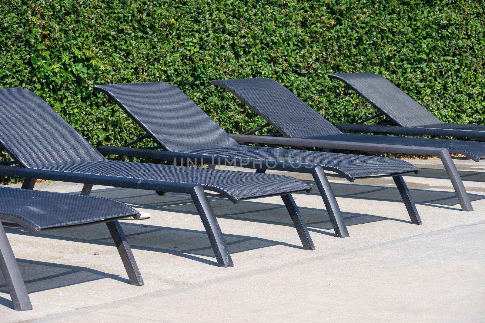 A row of empty pool chairs for lying down with a green background on a sunny day.
