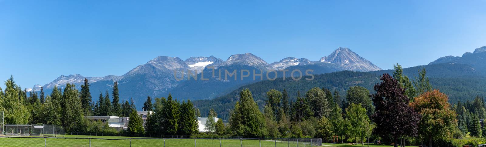 Panorama of beautiful trees and forest in Whistler/Blackcomb, Wedgemont Mountain and the Singing Pass Mountain Range in British Columbia, Canada.