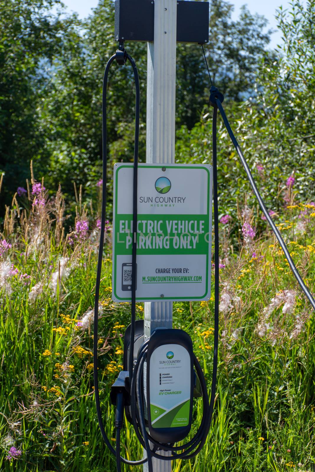 "Whistler, British Columbia/Canada - 08/07/2019: Electric vehicle only charging station sign for environmentally friendly vehicles with a green grass and flower background."