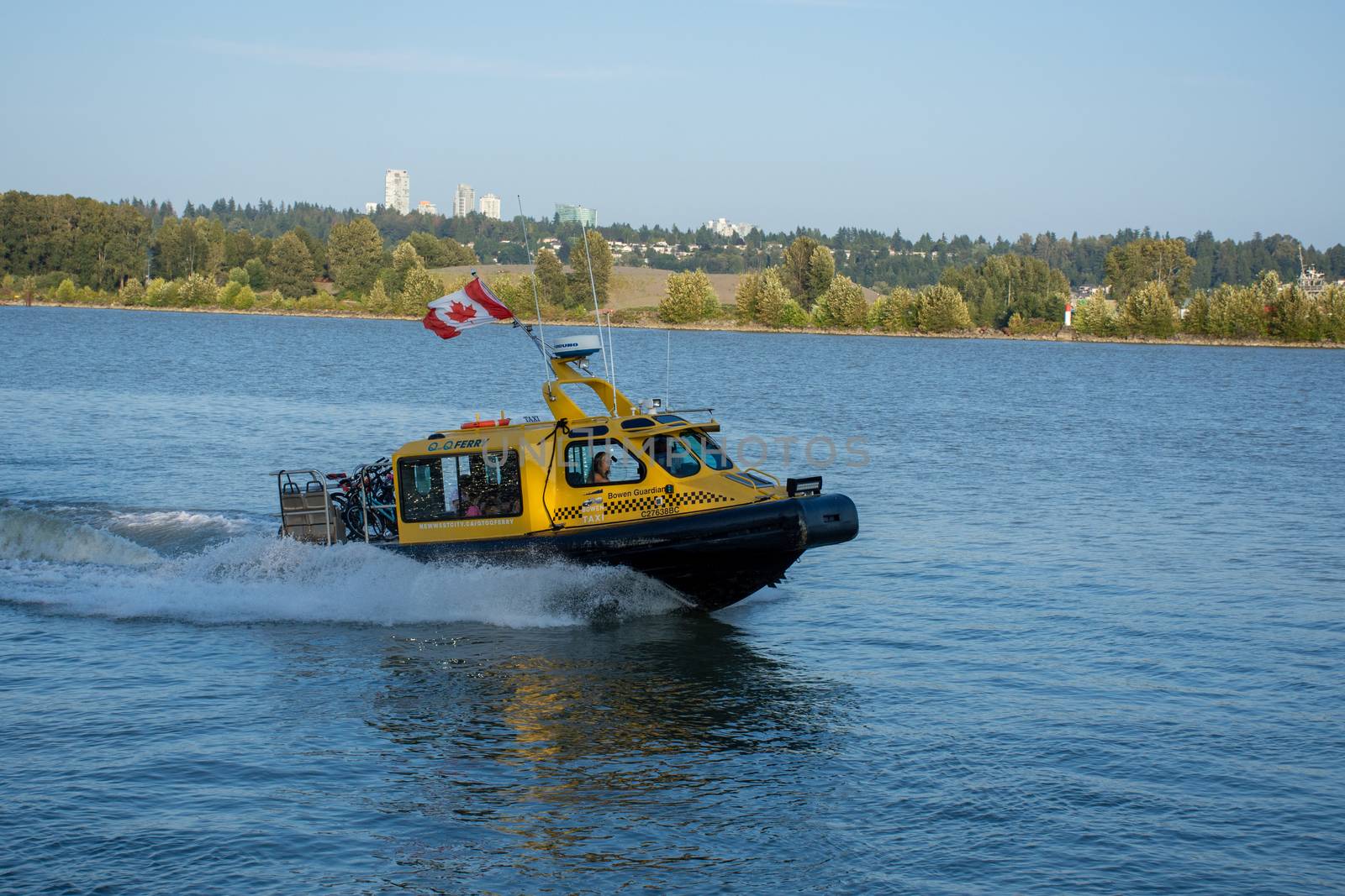 "New Westminster, British Columbia/Canada - 8/3/2019: At the New Westminster Quay, a yellow taxi ferry speed boat travels from quay pier to Queensbourgh with a Canadian flag."