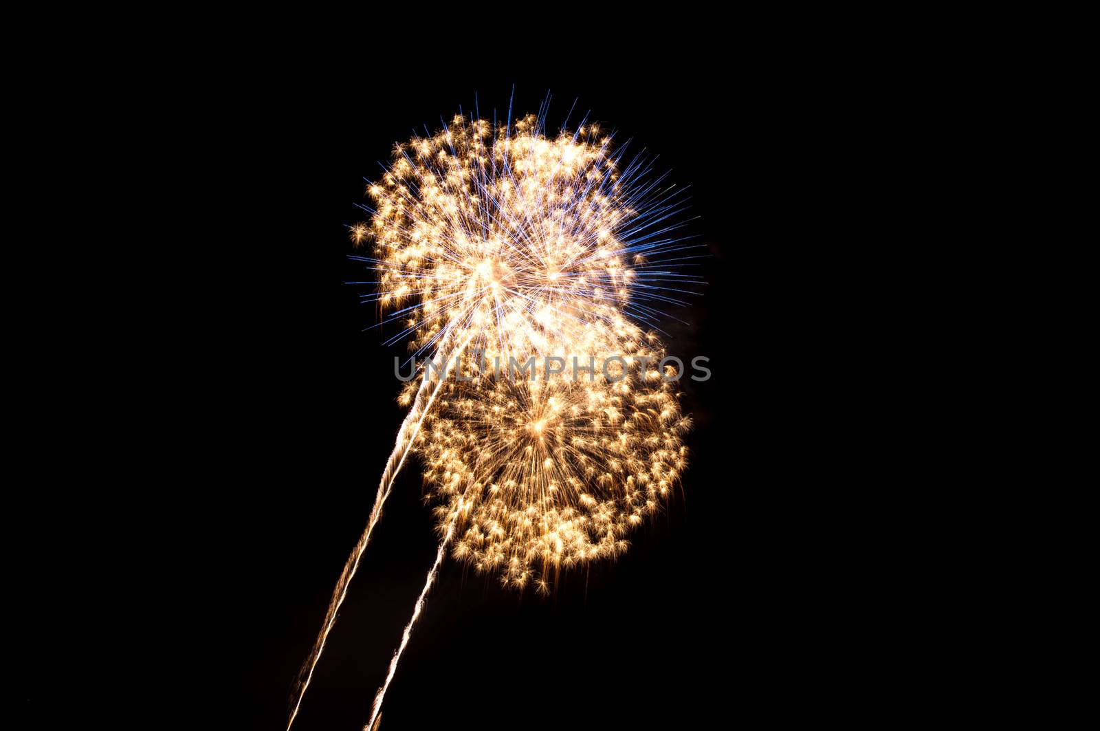 Fireworks explode in the night sky.