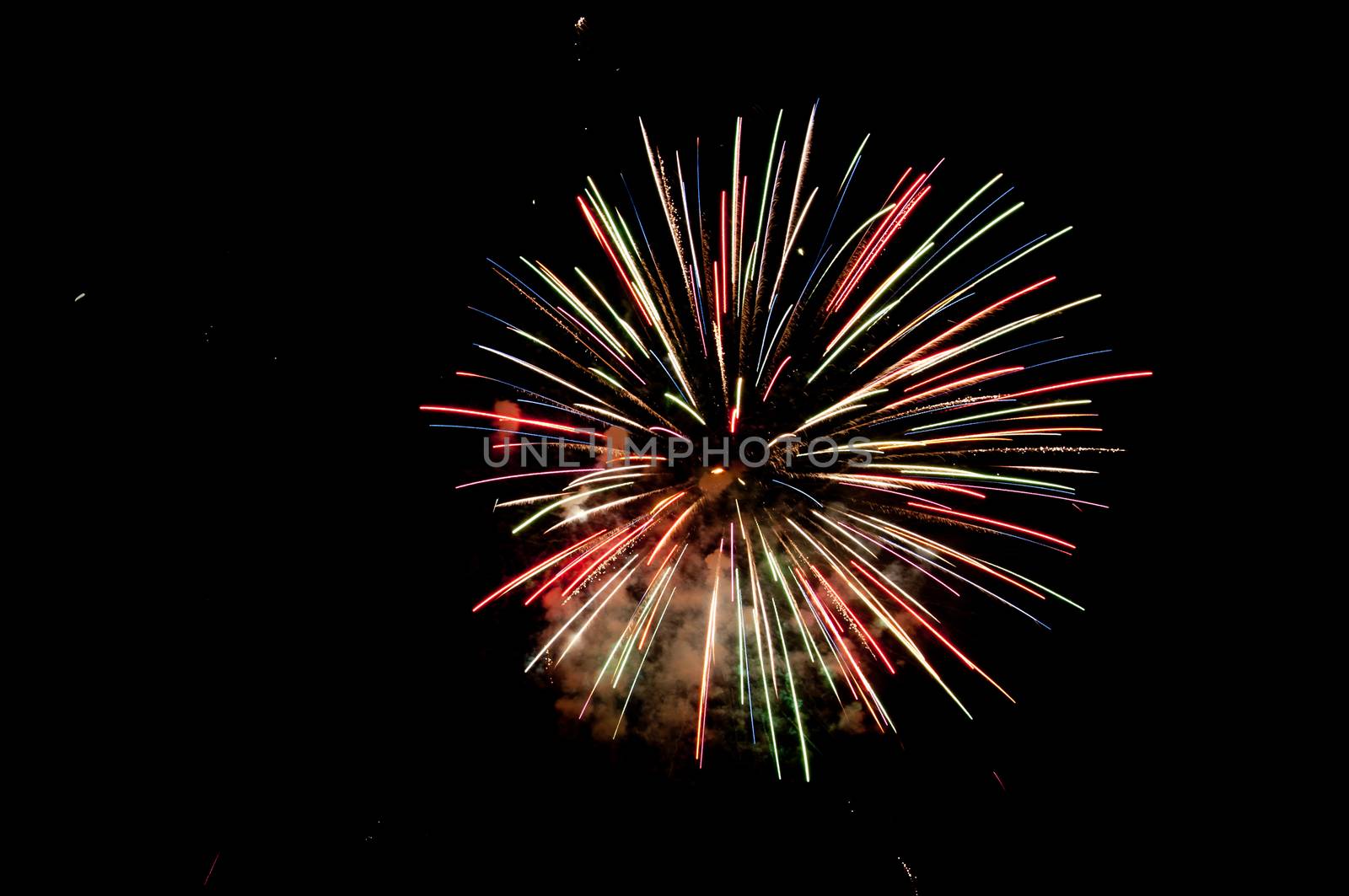 Fireworks explode in the night sky.