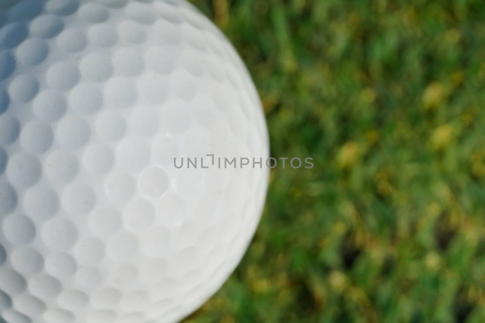 close-up on a golf ball on green grass