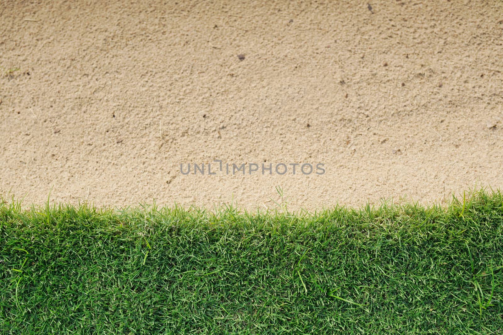 background of green grass with sand bunker in a golf course