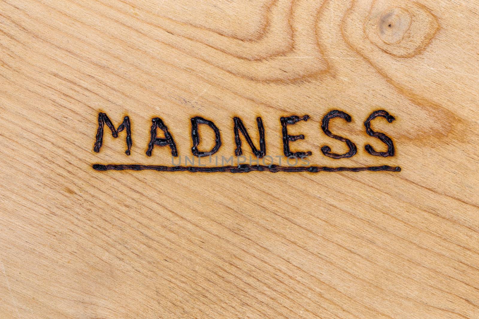 the underlined word madness handwritten with woodburner on flat plywood surface in flat lay directly above view.