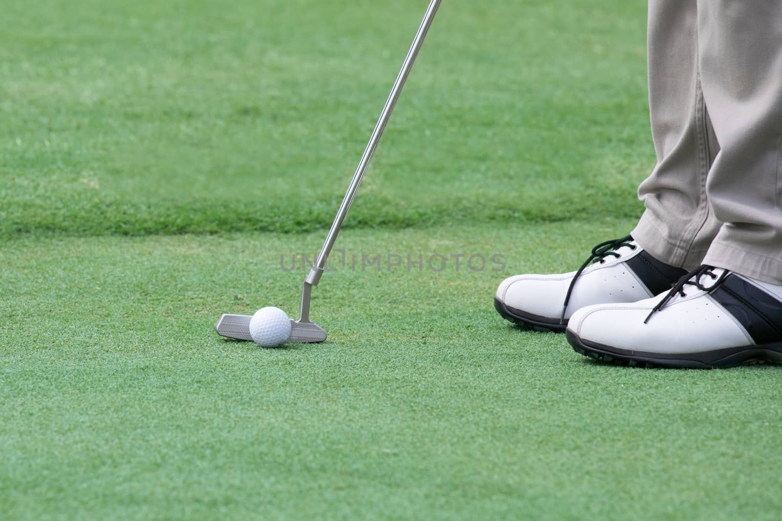 Golf player put a golf ball on a green