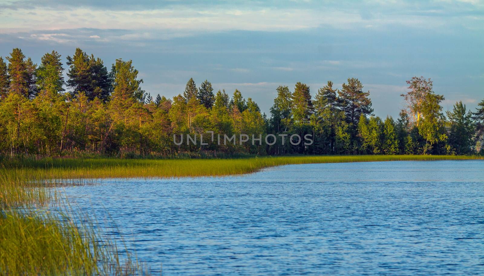 Karelian lake with edge of forest by z1b