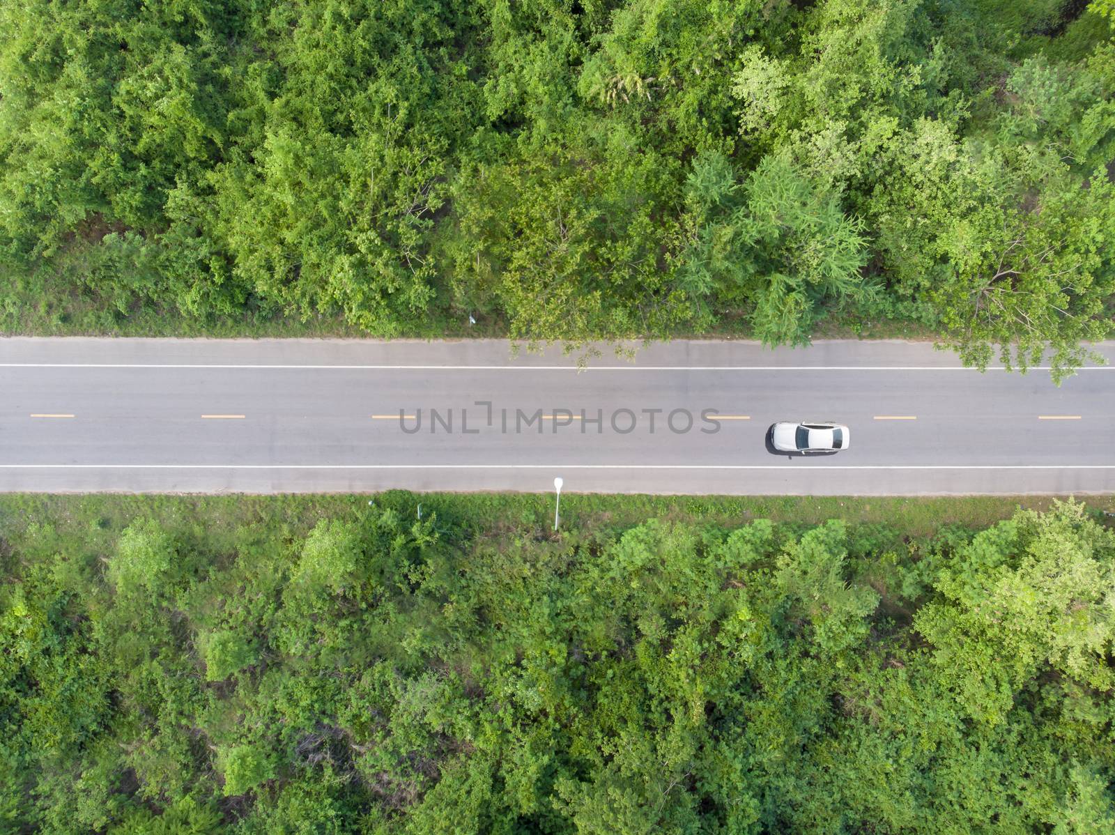 Aerial view of the road passing the forest  with a car passing by